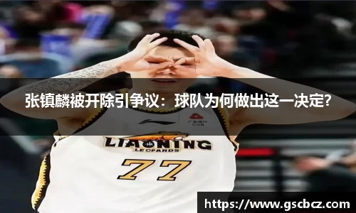 张镇麟被开除引争议：球队为何做出这一决定？