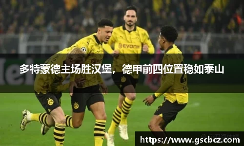 多特蒙德主场胜汉堡，德甲前四位置稳如泰山