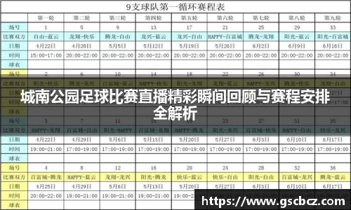 城南公园足球比赛直播精彩瞬间回顾与赛程安排全解析