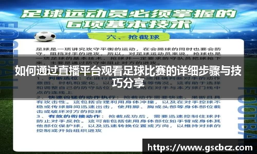 星欧娱乐