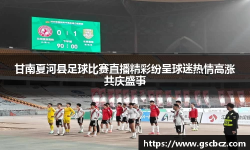 甘南夏河县足球比赛直播精彩纷呈球迷热情高涨共庆盛事